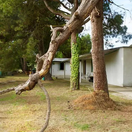 Natura * カヴァッリーノ・トレポルティ