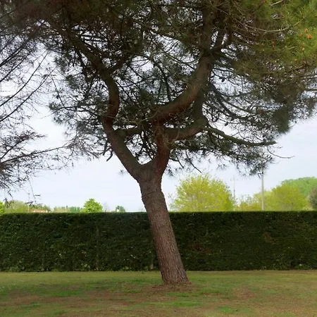 Natura Lägenhet Cavallino-Treporti