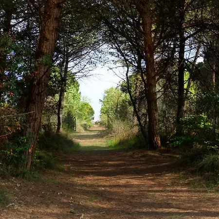 Apartmán Natura Cavallino-Treporti